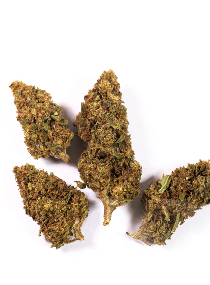 Peaceful Mind Premium CBD Flowers