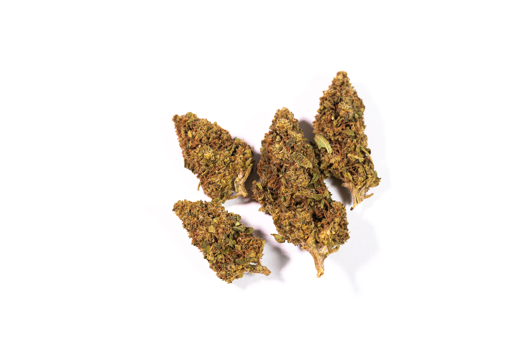 dried-cannabis-buds-white-background (1)